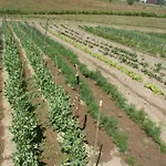 Agrodomki Okej - Dom Olenka Prázdninový dům