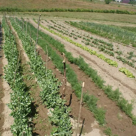 Agrodomki Okej - Dom Olenka Сasa de vacaciones
