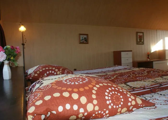 Сasa de vacaciones Agrodomki Okej - Dom Olenka