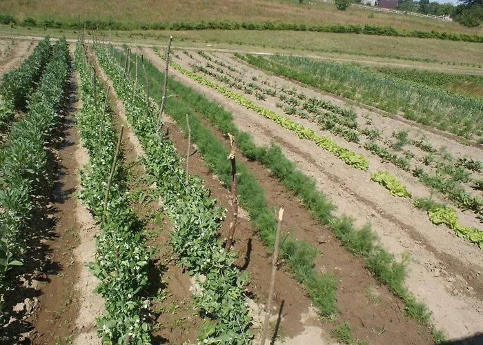 Agrodomki Okej - Dom Olenka Semesterbostad